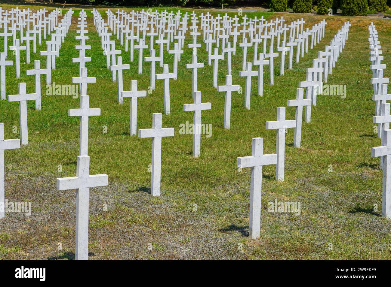 Memorial cemetery of the victims of the Homeland War in Vukovar - Croatia (Memorijalno groblje žrtava iz Domovinskog rata u Vukovaru Stock Photo