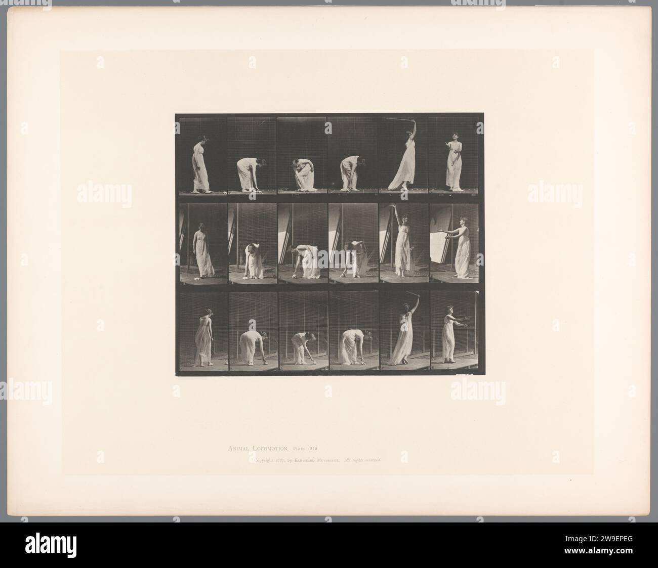 Woman Moving, 'Miscellaneous - stooping, etc', Eadweard Muybridge, 1887 photomechanical print  United States of America paper collotype historical persons - BB - woman. movements of the human body Stock Photo