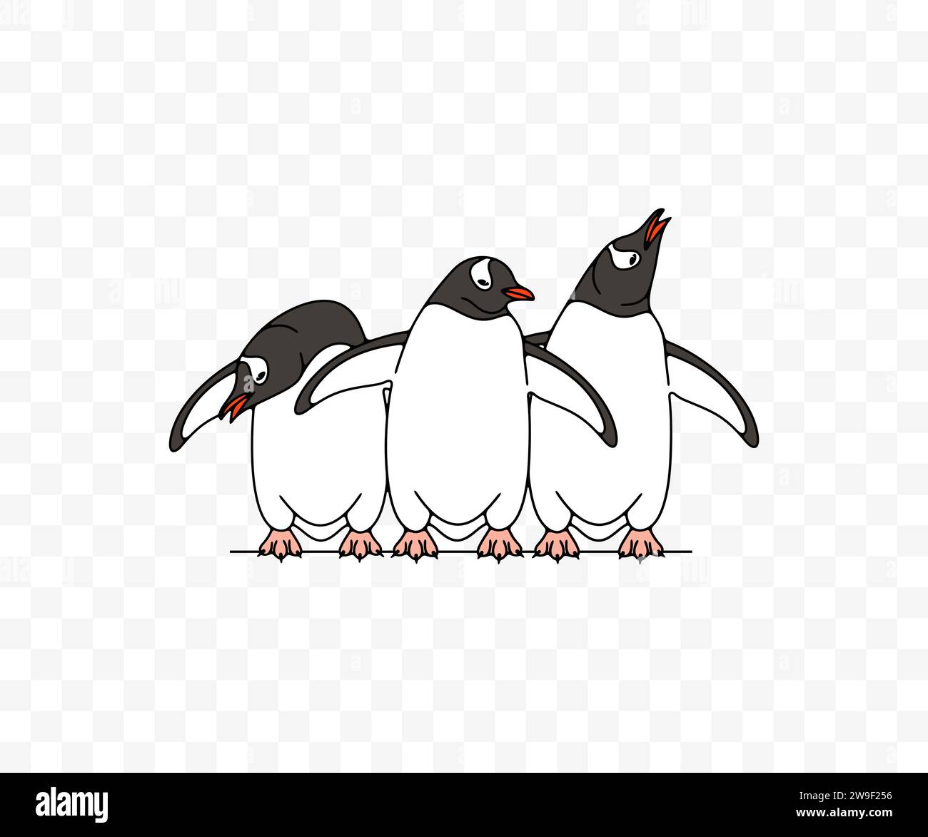 Subantarctic penguin or gentoo penguins, graphic design. Animal, bird, avian, feathered, antarctica and nature, vector design and illustration Stock Vector