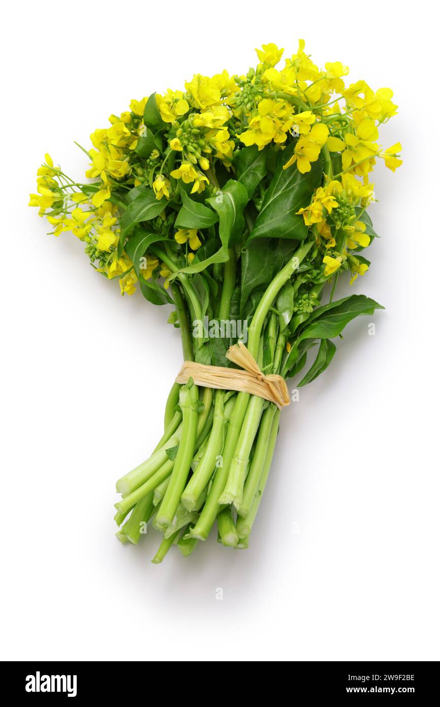 a bunch of brassica rapa isolated on white background Stock Photo
