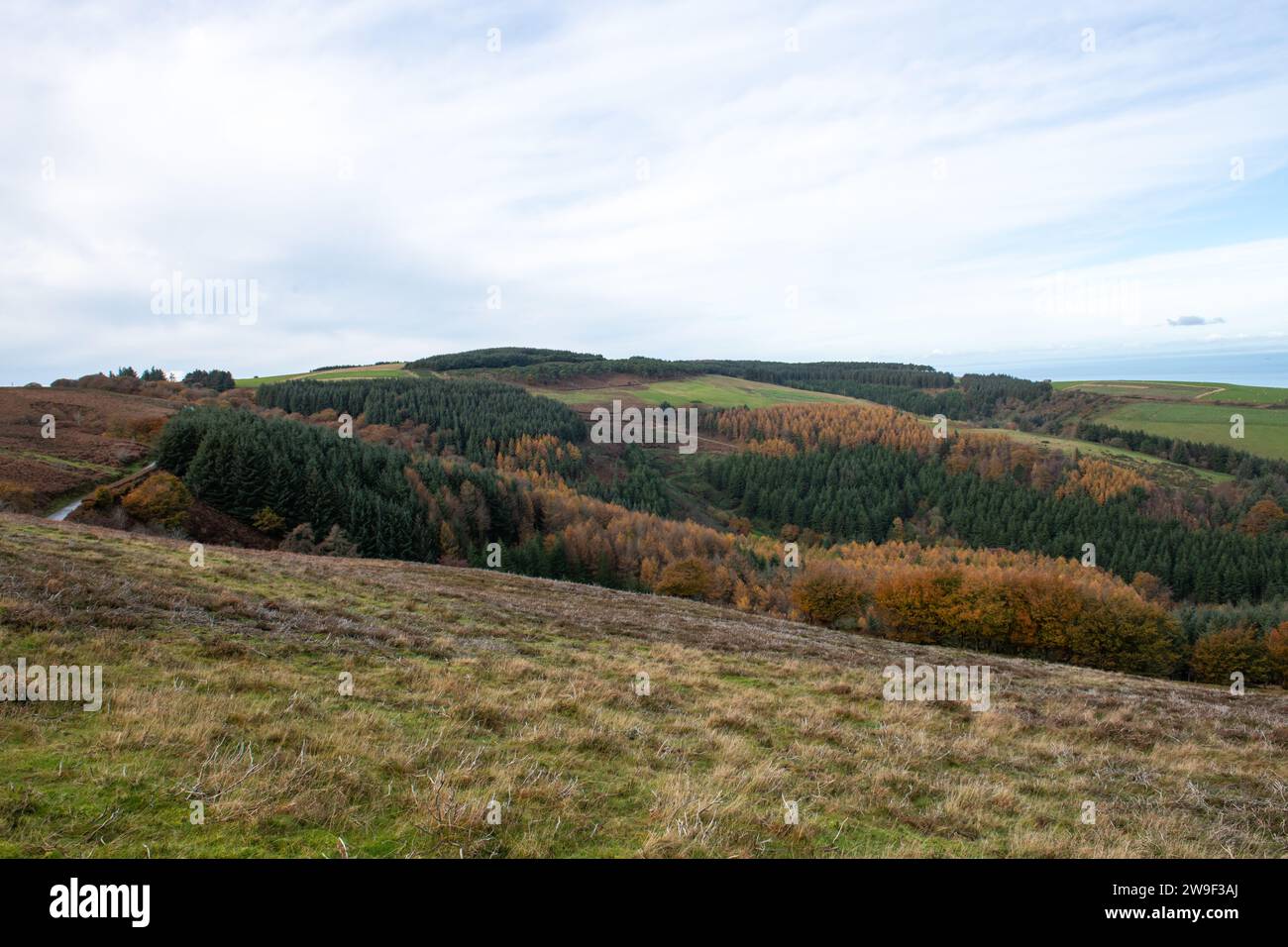 Landscape photo of the autumn colours on Porlock Common at the top of Porlock Hill in Exmoor Natioanl Park Stock Photo