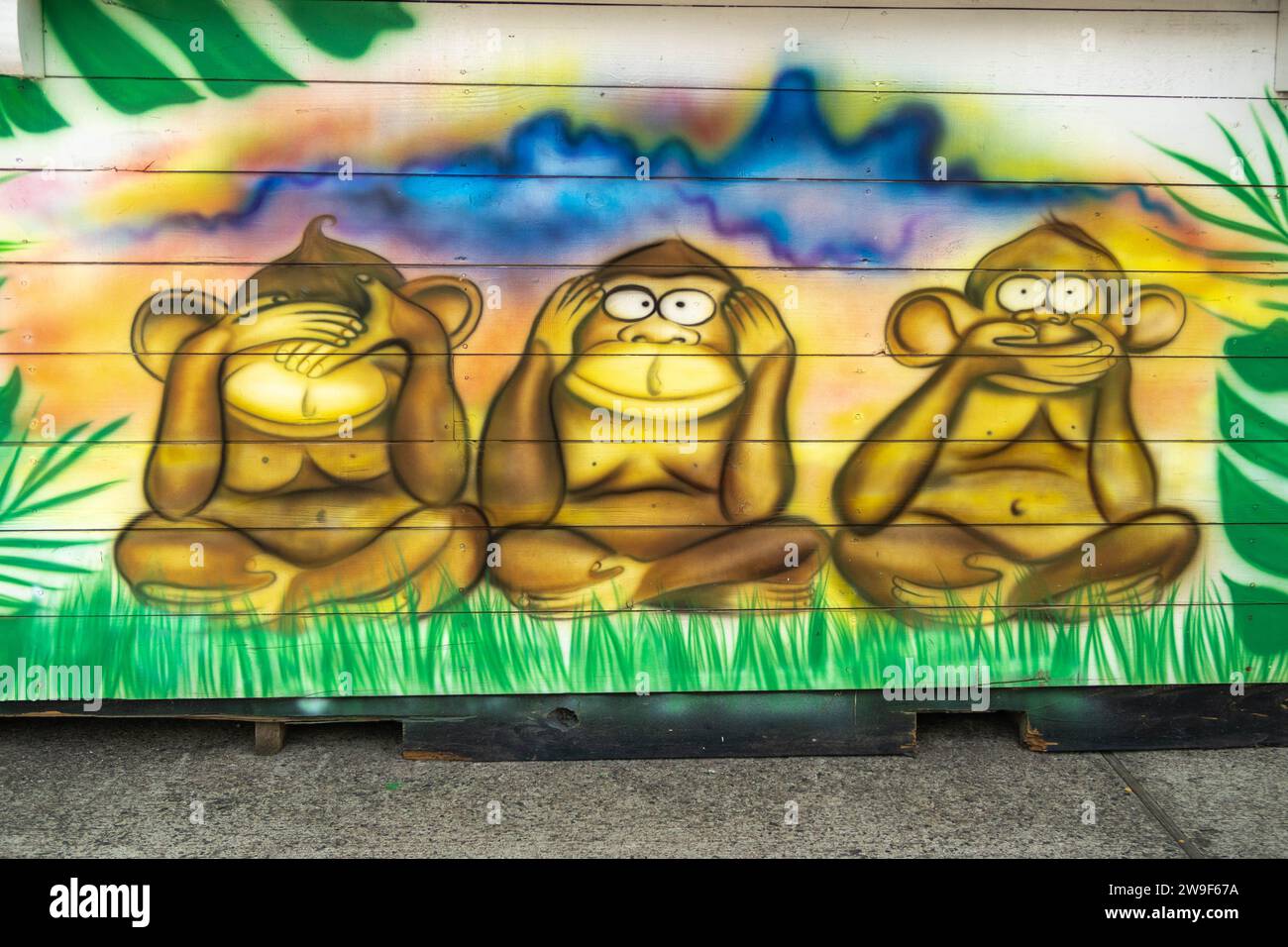 Three wise monkeys, see no evil, hear no evil, speak no evil, monkeys, covering his eyes, covering his ears, covering his mouth, selfishness, coward. Stock Photo