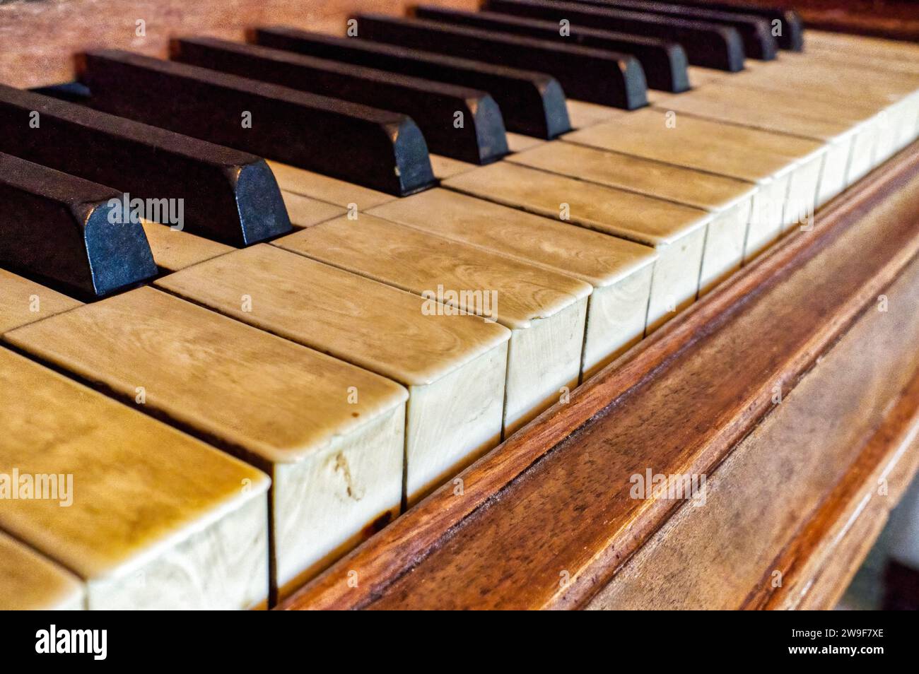 real elephant ivory piano keys on old wooden grand piano black and