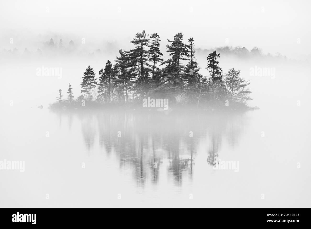 Island reflects on a flat calm lake on a misty day on the eastern shore