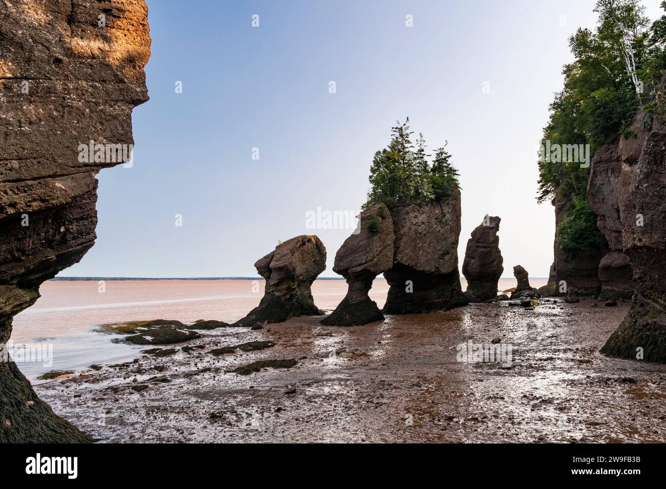 Coastal erosion has created stone
