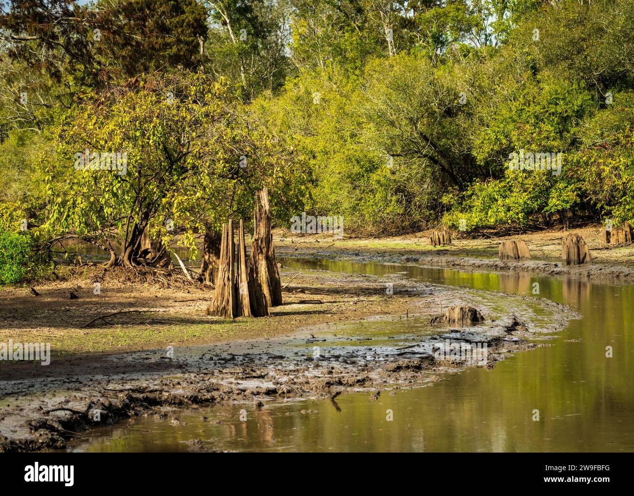 airboat tours near baton rouge