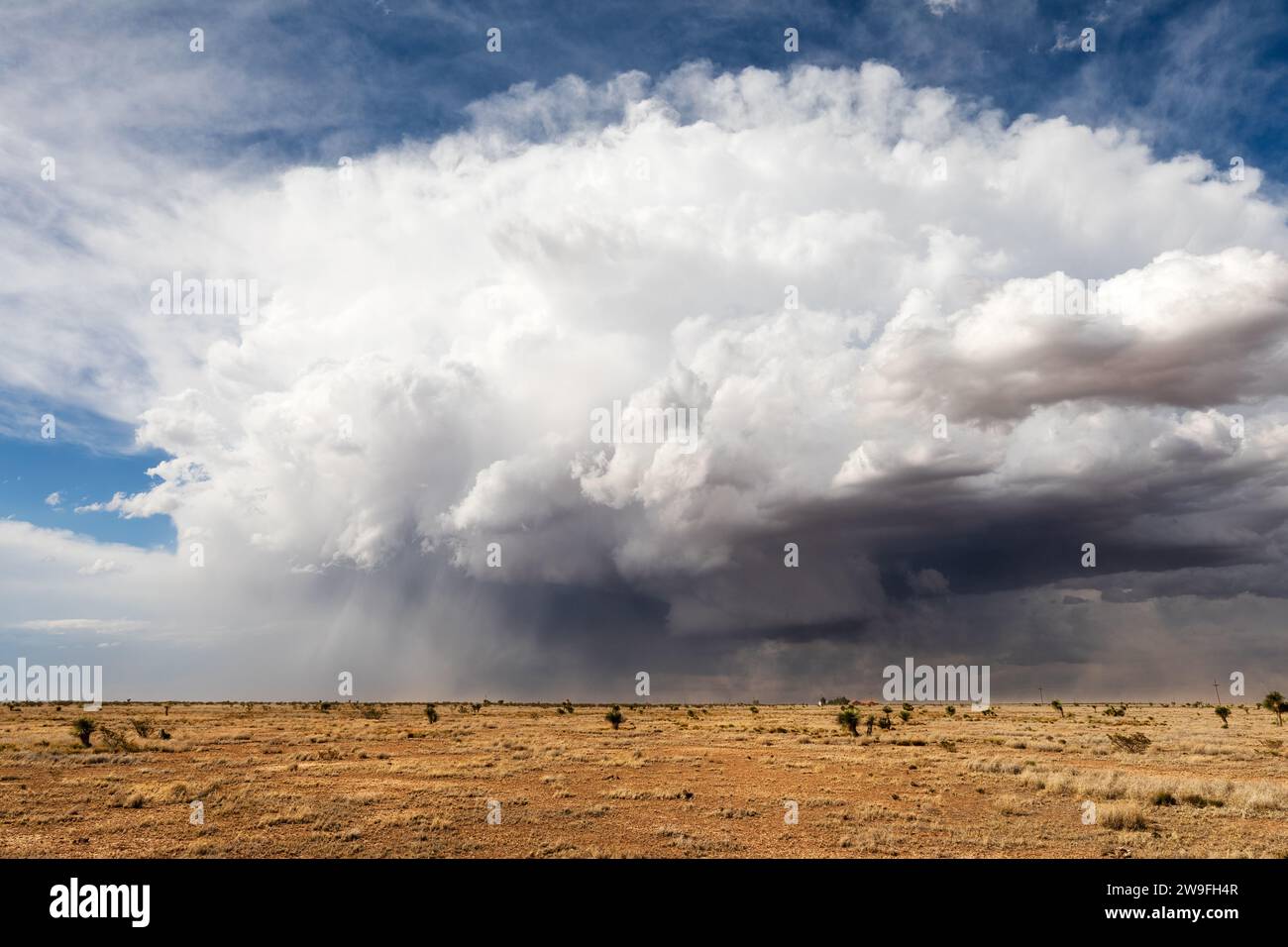 Supercell thunderstorm cumulonimbus with wall cloud near Roswell, New Mexico Stock Photo