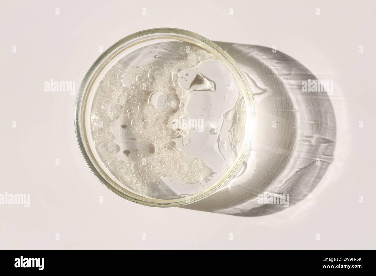 Petri dish with liquid sample on light background, top view Stock Photo ...