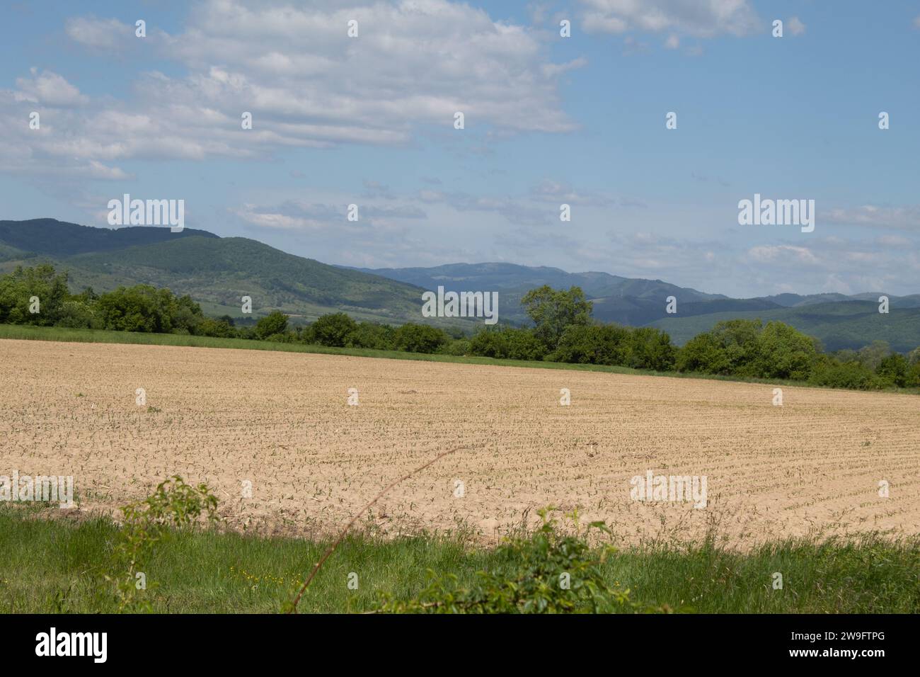 The Carpathian Mountains, Romania Stock Photo