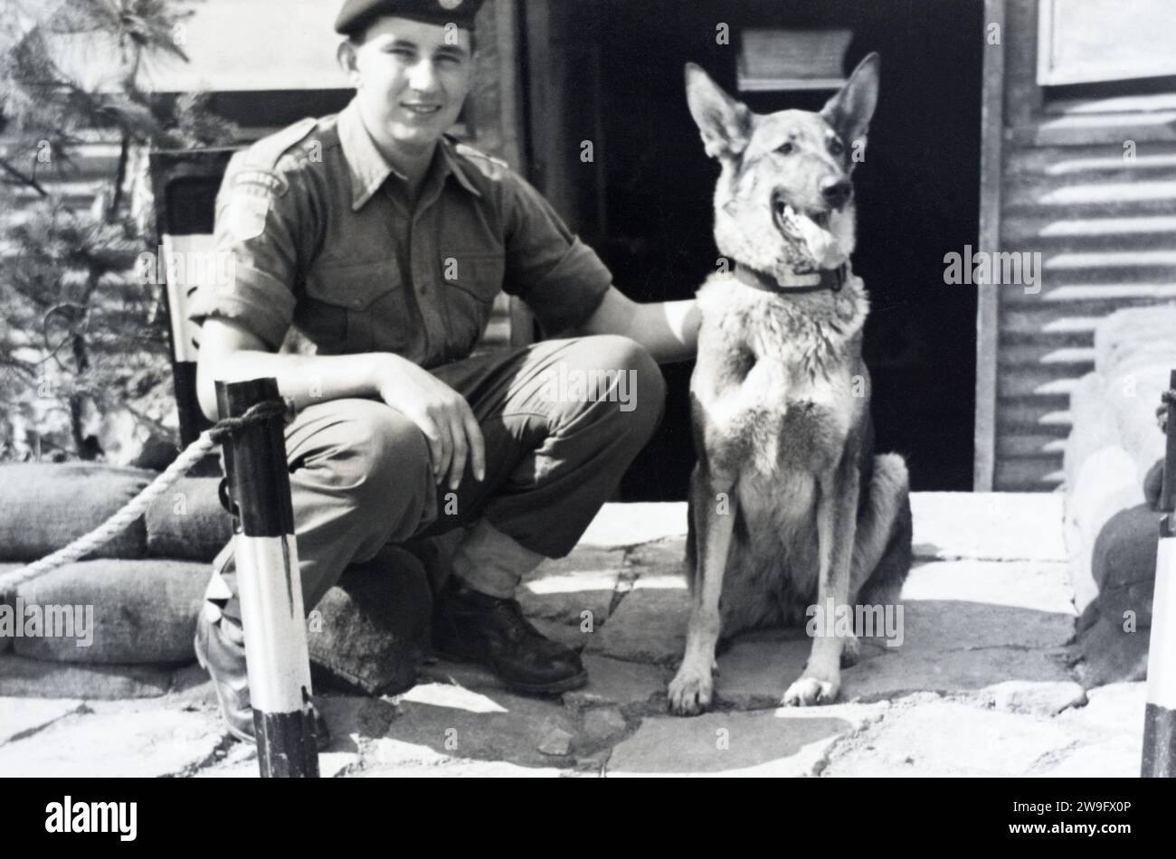 A soldier from the Dorset Regiment with an alsatian at a guard post in South Korea, c. 1954-1955. Stock Photo