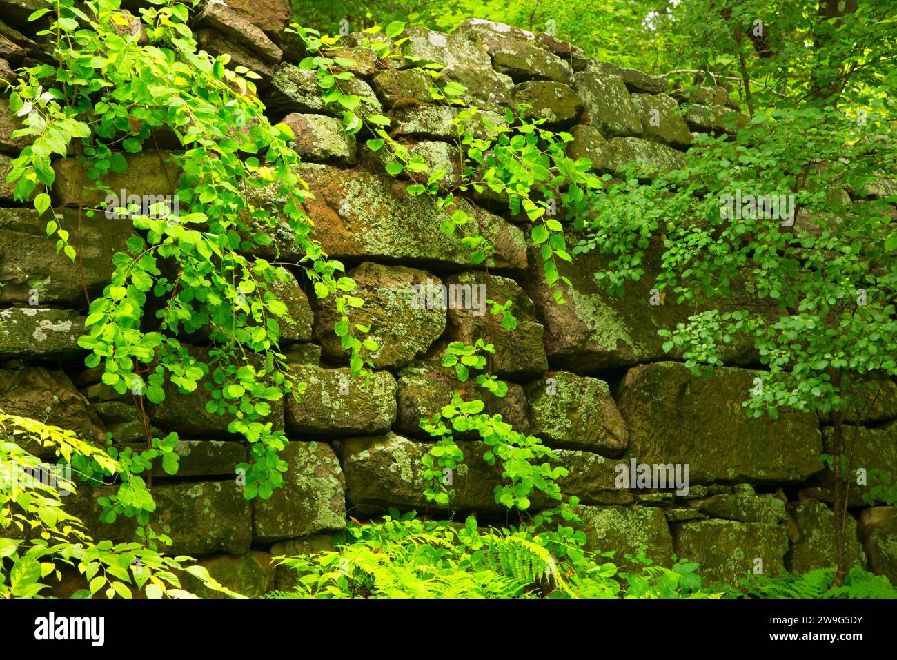 Perimeter Wall, Old New-Gate Prison & Copper Mine Archaeological Preserve, Connecticut Stock Photo