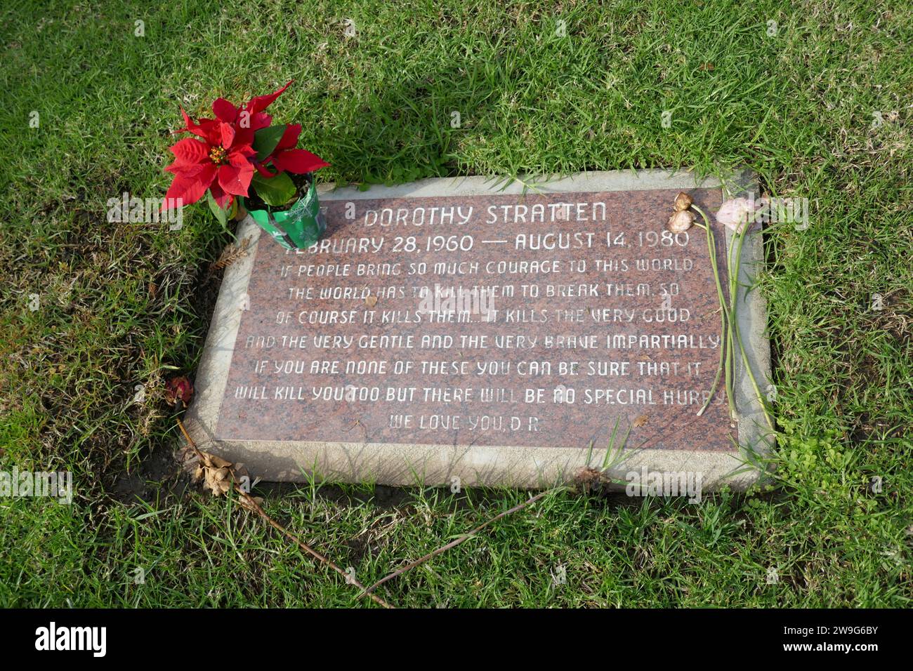 Los Angeles, California, USA 27th December 2023 Playmate Dorothy Stratten Grave at Pierce Brothers Westwood Village Memorial Park on December 27, 2023 in Los Angeles, California, USA. Photo by Barry King/Alamy Stock Photo Stock Photo