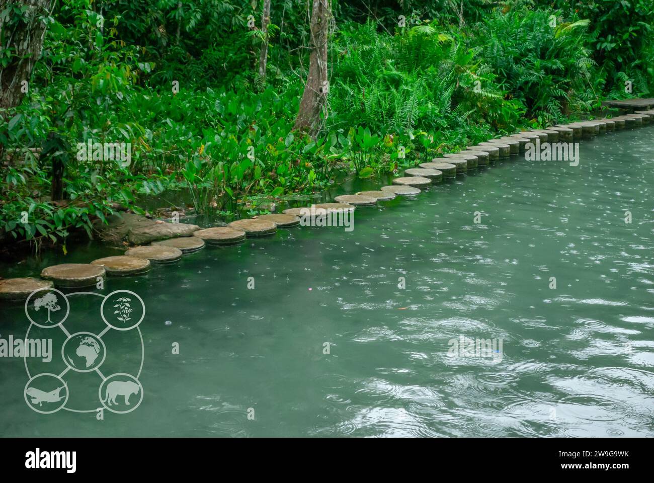 Green tourism, Sustainable tourism, Eco tourism and Ecosystem and ...