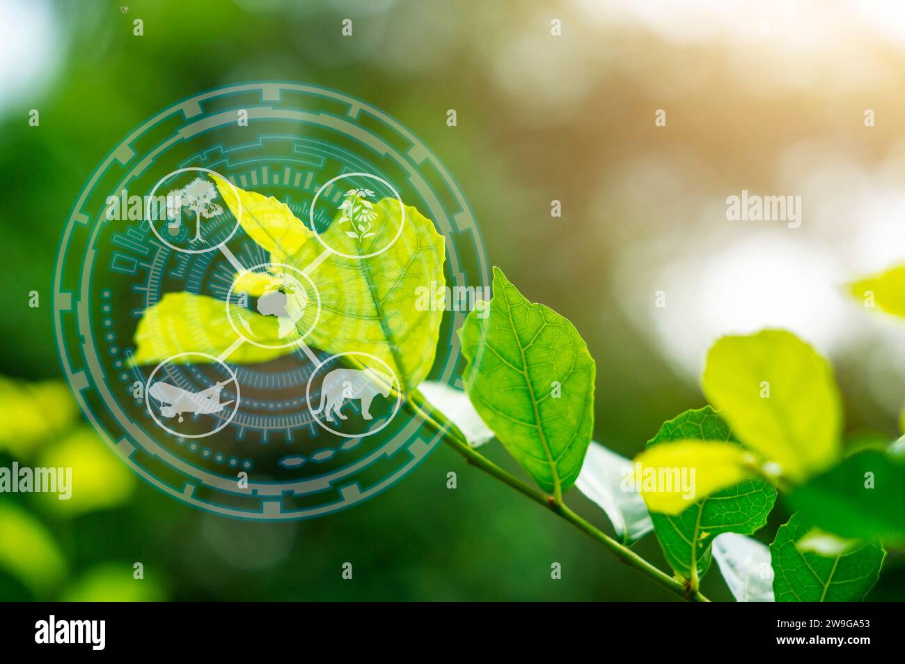 Ecosystem and preserve nature and sustainable concept, Forest travel ...
