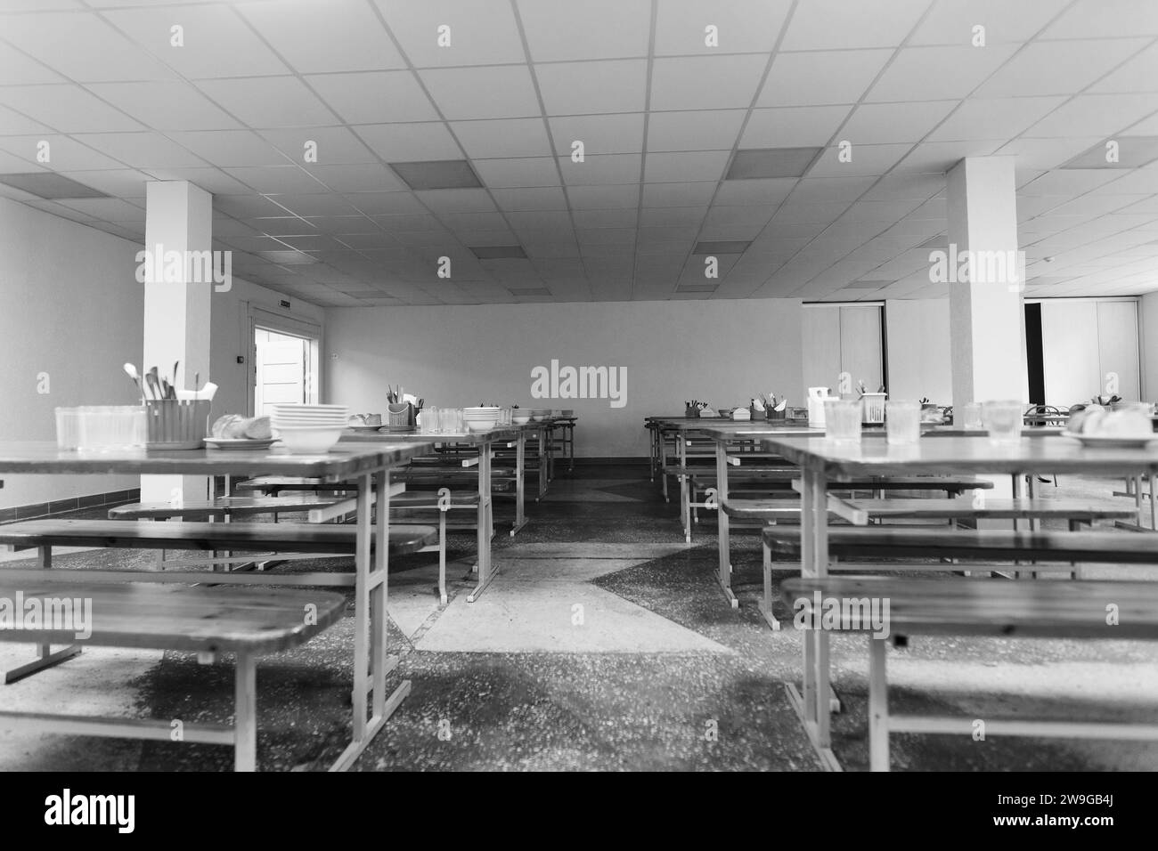 Cafeteria, dining room in university, cafe with tables and chairs