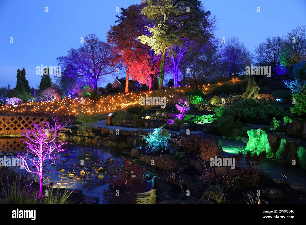 Alpine Meadow and Rock Garden, Glow 2023, RHS Garden Wisley, Woking, Surrey, England, Great Britain, United Kingdom, UK, Europe Stock Photo