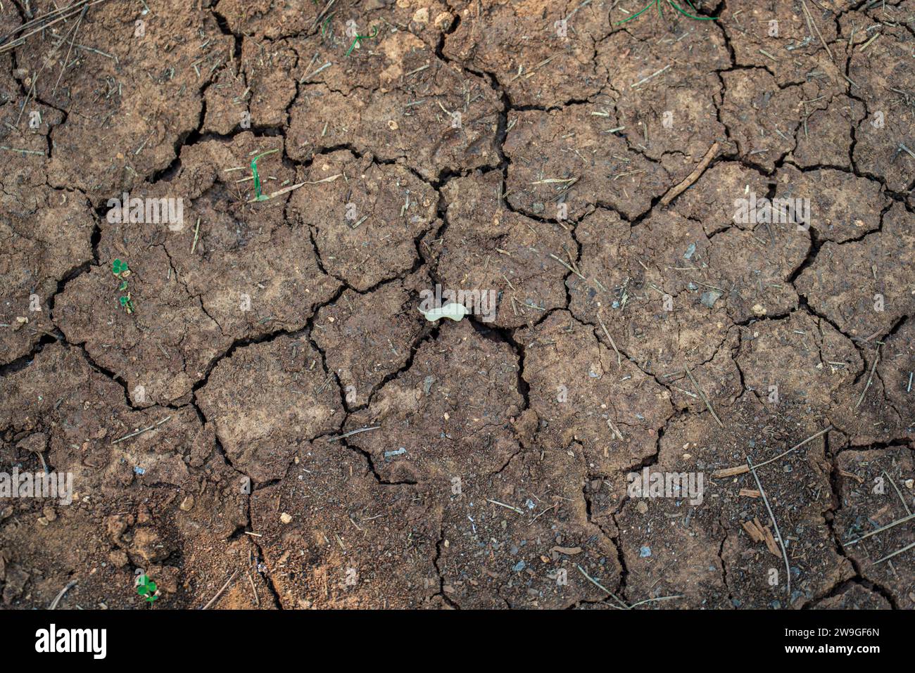 Cracked Earth in Drought Conditions Texture Background Stock Photo - Alamy