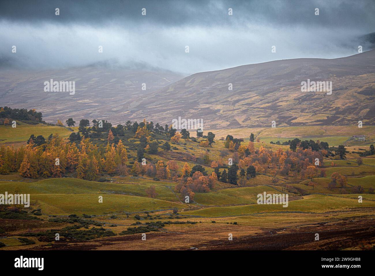 United Kingdom, Scotland, Aberdeenshire, Cairngorms National Park Stock Photo