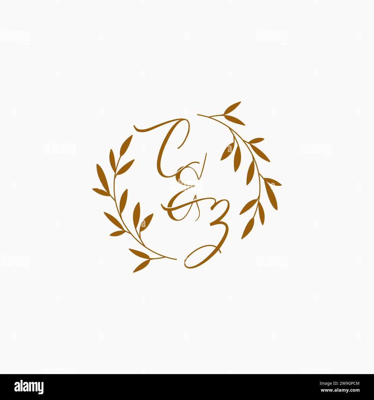 CZ initial wedding monogram logo design Stock Vector