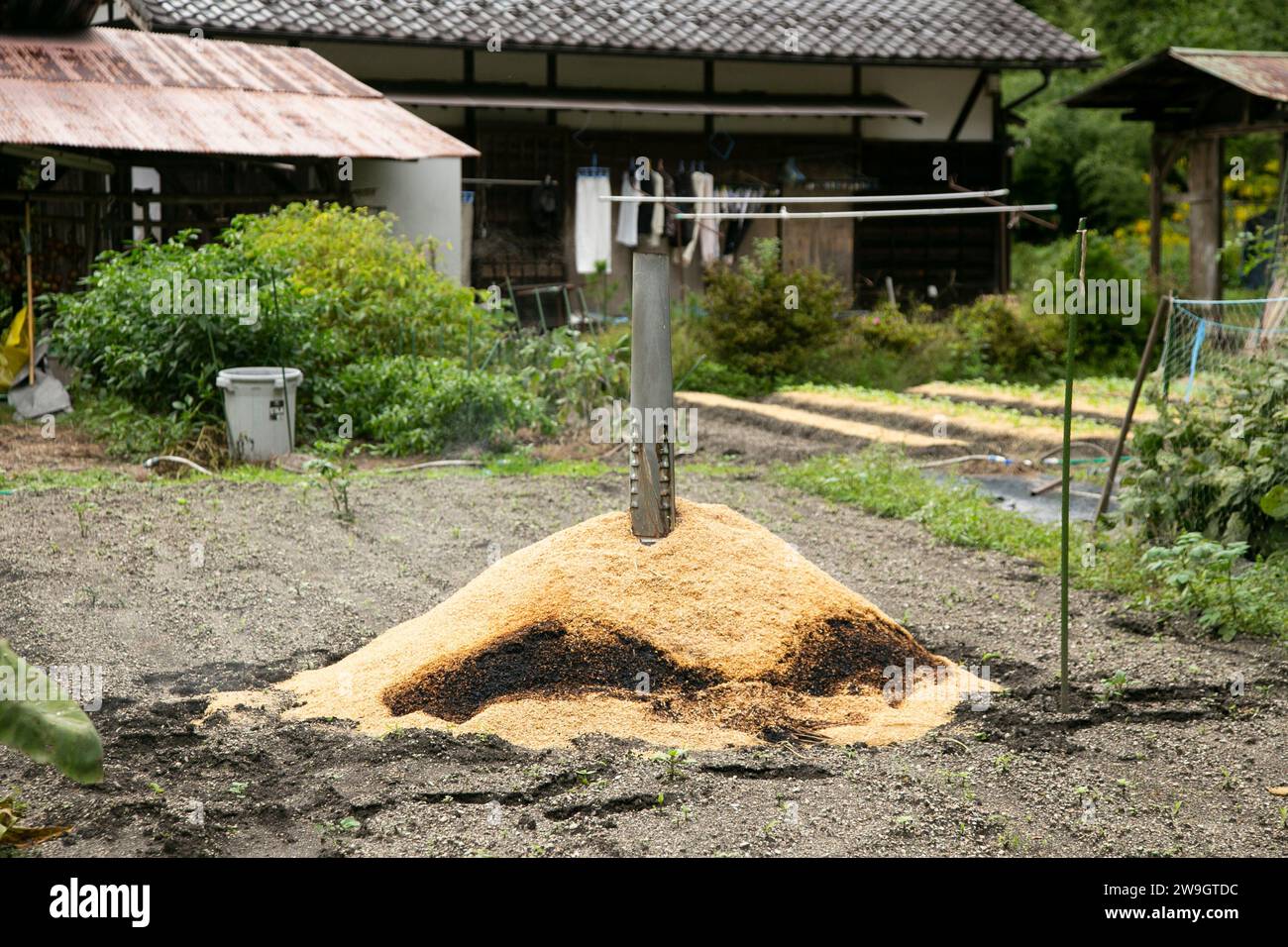 Vegetable patch in the countryside of the mountains of Kiso Valley in Japan. Stock Photo