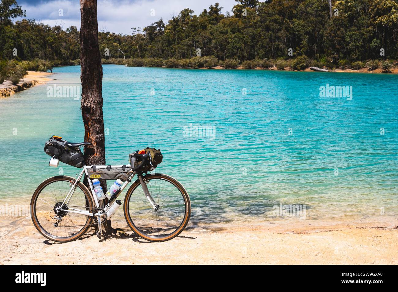 A gravel bike parked against a tree along the Munda Biddi Trail, a 1000 kilometre off road