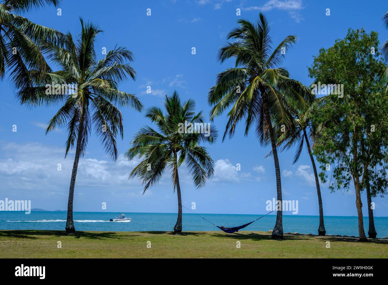 A man relaxing in a hammock with a view of the Coral Sea and Snapper Island from Rex Smeal Park in Port Douglas, Queensland, Australia Stock Photo
