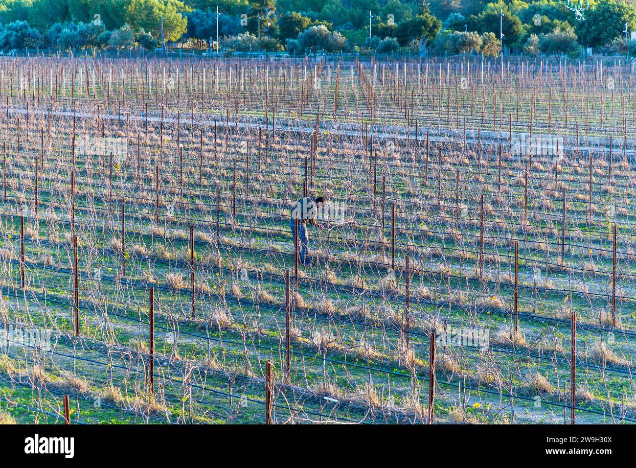 Meridiana Wine Estate in Attard, Malta Stock Photo
