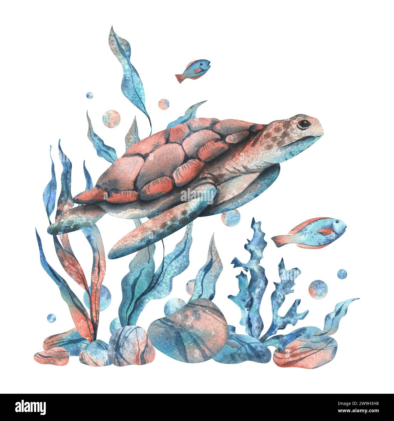 Underwater world clipart with sea animals turtle, fish, pebbles ...