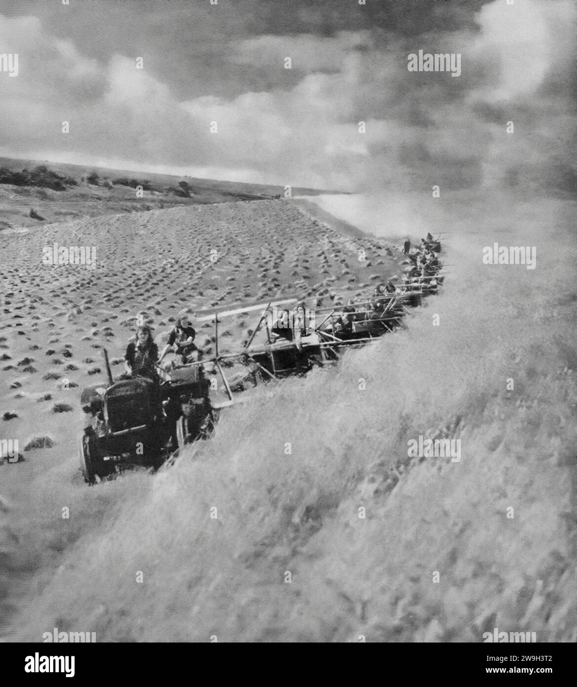 The Women's Land Army operating tractors and combined harvesters on the South Downs in Kent, in the autumn of 1942 during the Second World War. Women took over the work of male agricultural workers, who were released for other wartime duties. Stock Photo