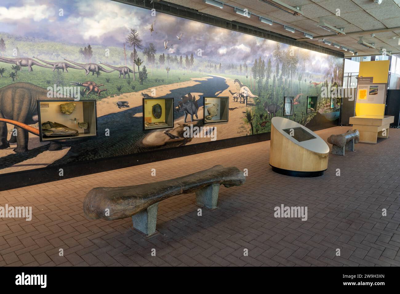 Fossil exhibits in the Quarry Exhibit Hall in Dinosaur National