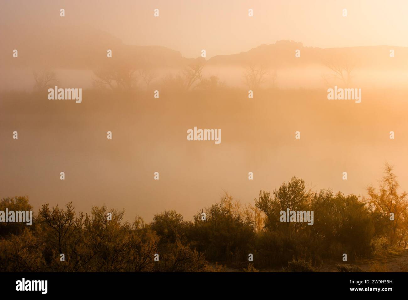 Early morning fog over the Green River in Dinosaur National Monument with Split Mountain in silhouette behind.  Utah. Stock Photo