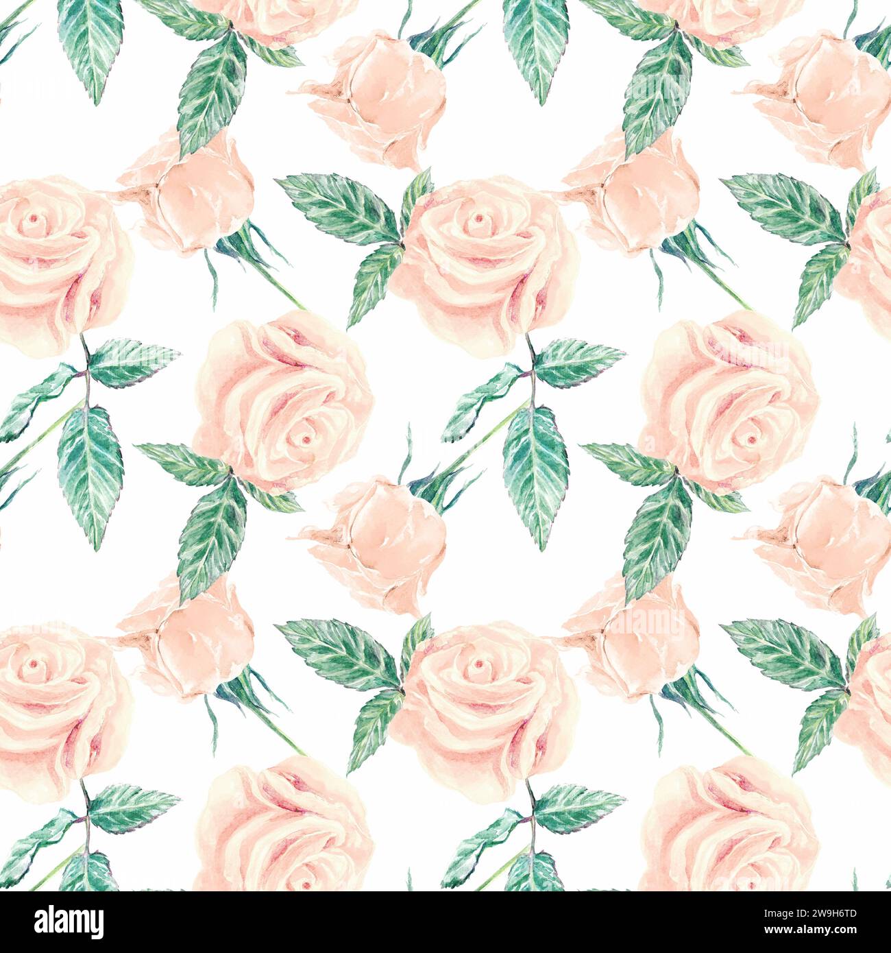 Pink roses seamless pattern, watercolor. isolated on white background ...