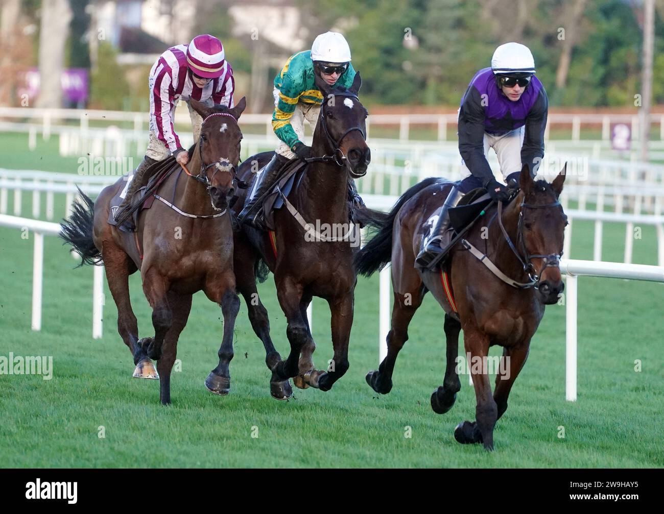 Fact To File ridden by Mark Walsh (centre) before going on to win the Ballymaloe Relish Rising Stars Beginners Chase during day three of the Leopardstown Christmas Festival at Leopardstown Racecourse, Dublin. Picture date: Thursday December 28, 2023. Stock Photo