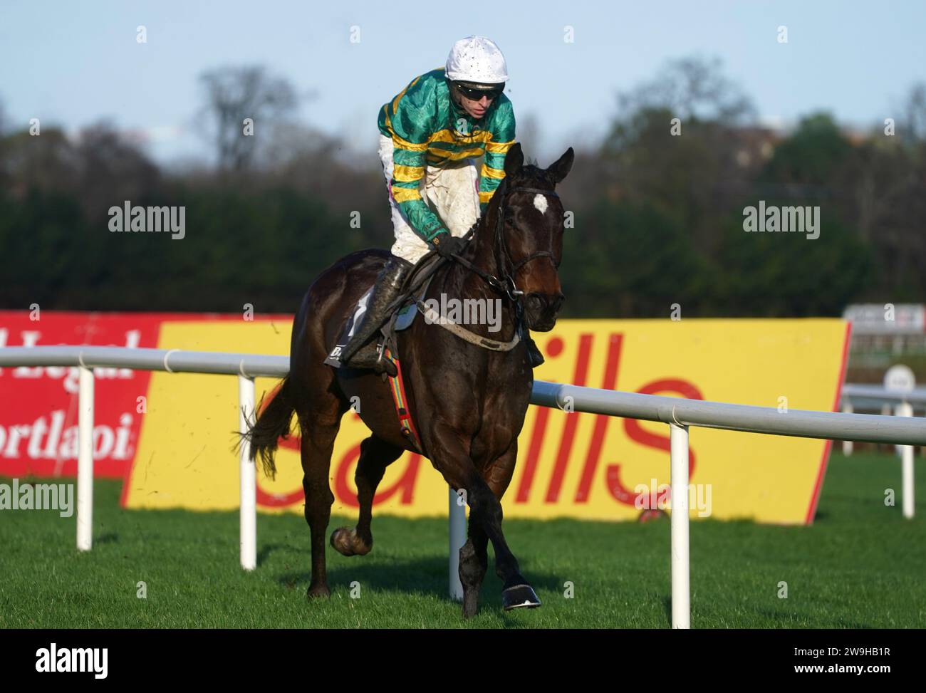 Fact To File ridden by Mark Walsh wins the Ballymaloe Relish Rising Stars Beginners Chase during day three of the Leopardstown Christmas Festival at Leopardstown Racecourse, Dublin. Picture date: Thursday December 28, 2023. Stock Photo