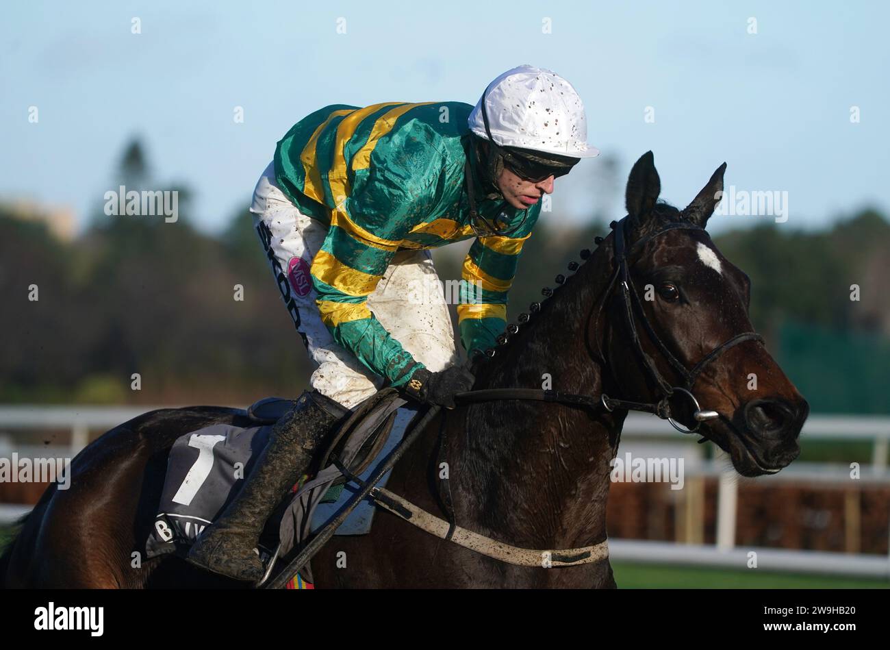 Fact To File ridden by Mark Walsh wins the Ballymaloe Relish Rising Stars Beginners Chase during day three of the Leopardstown Christmas Festival at Leopardstown Racecourse, Dublin. Picture date: Thursday December 28, 2023. Stock Photo