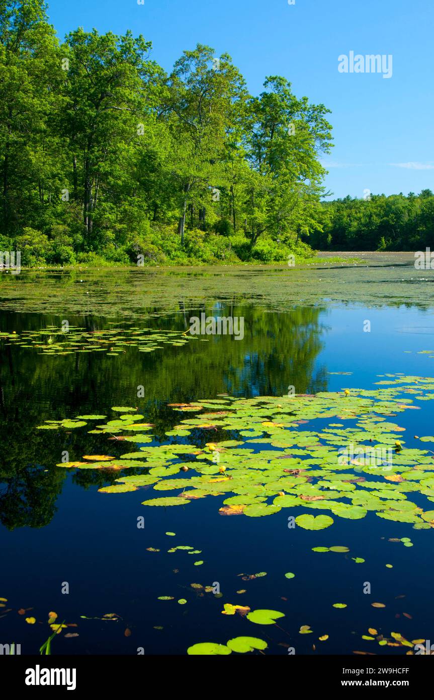 Upper Bolton Lake, Middle Bolton Lake State Boat Launch, Connecticut