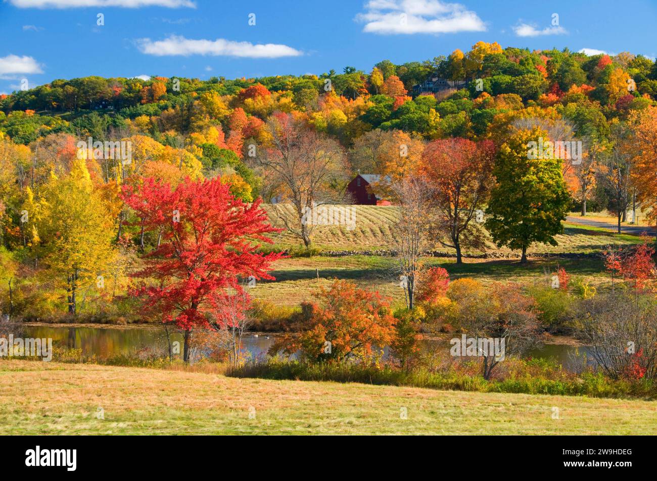 Rural view from Pope Riddle House, HillStead Museum, Farmington
