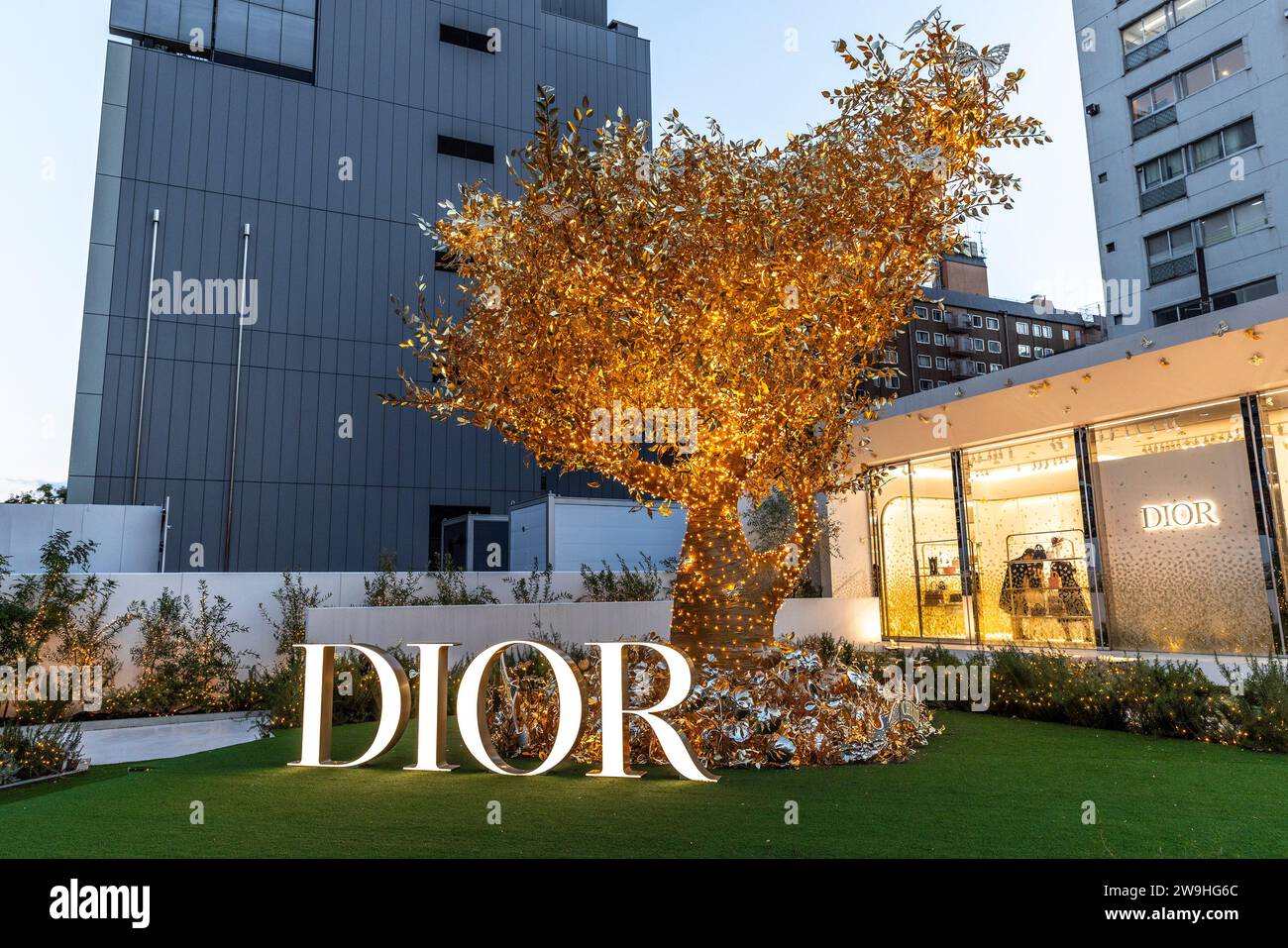 TOKYO/JAPAN - November 21, 2023:Dior brand luminous lettering and gold Christmas tree Stock Photo