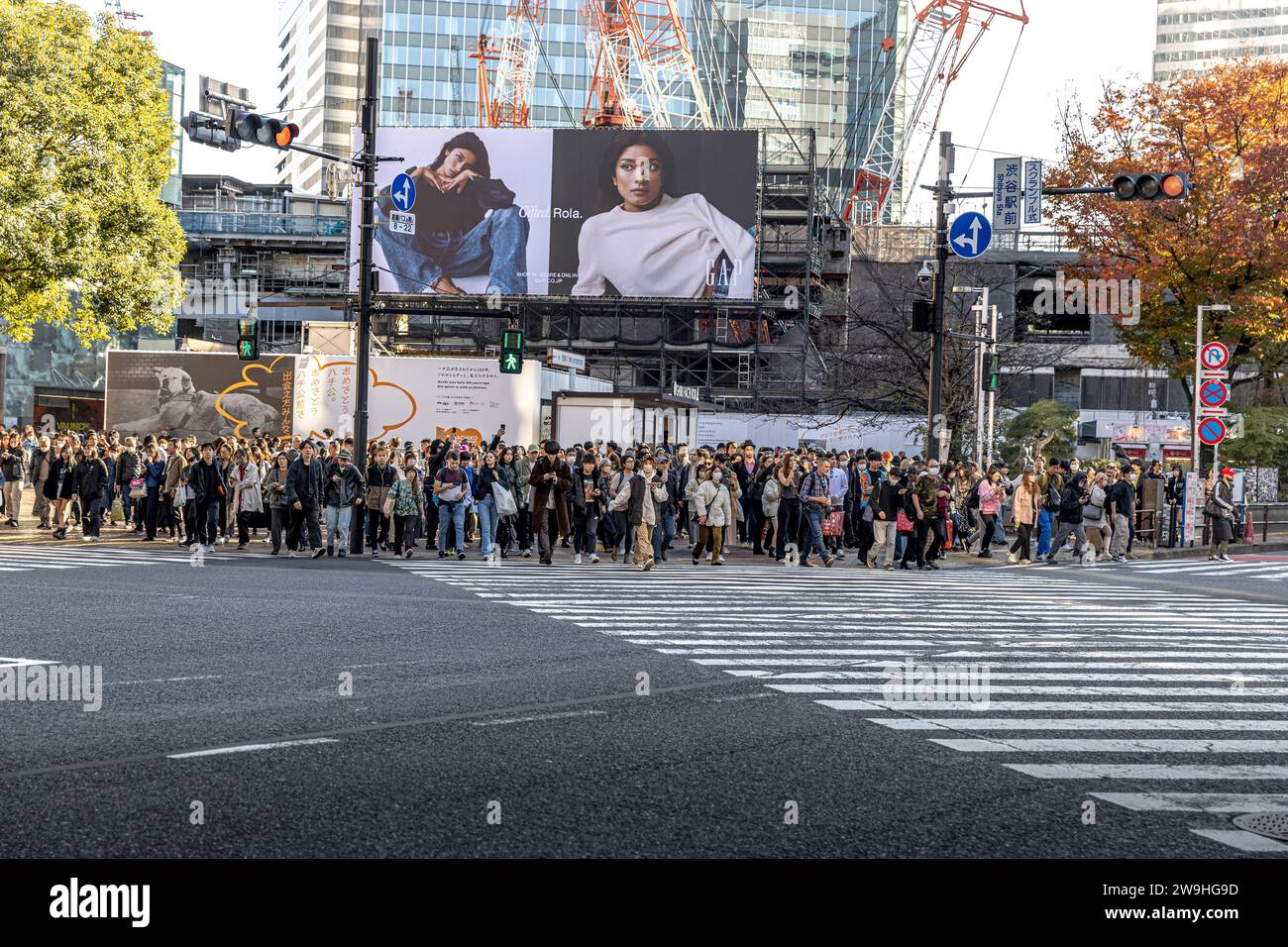 TOKYO/JAPAN - November 22, crowds of people prepare to cross the famous Shibuya Crossing Stock Photo