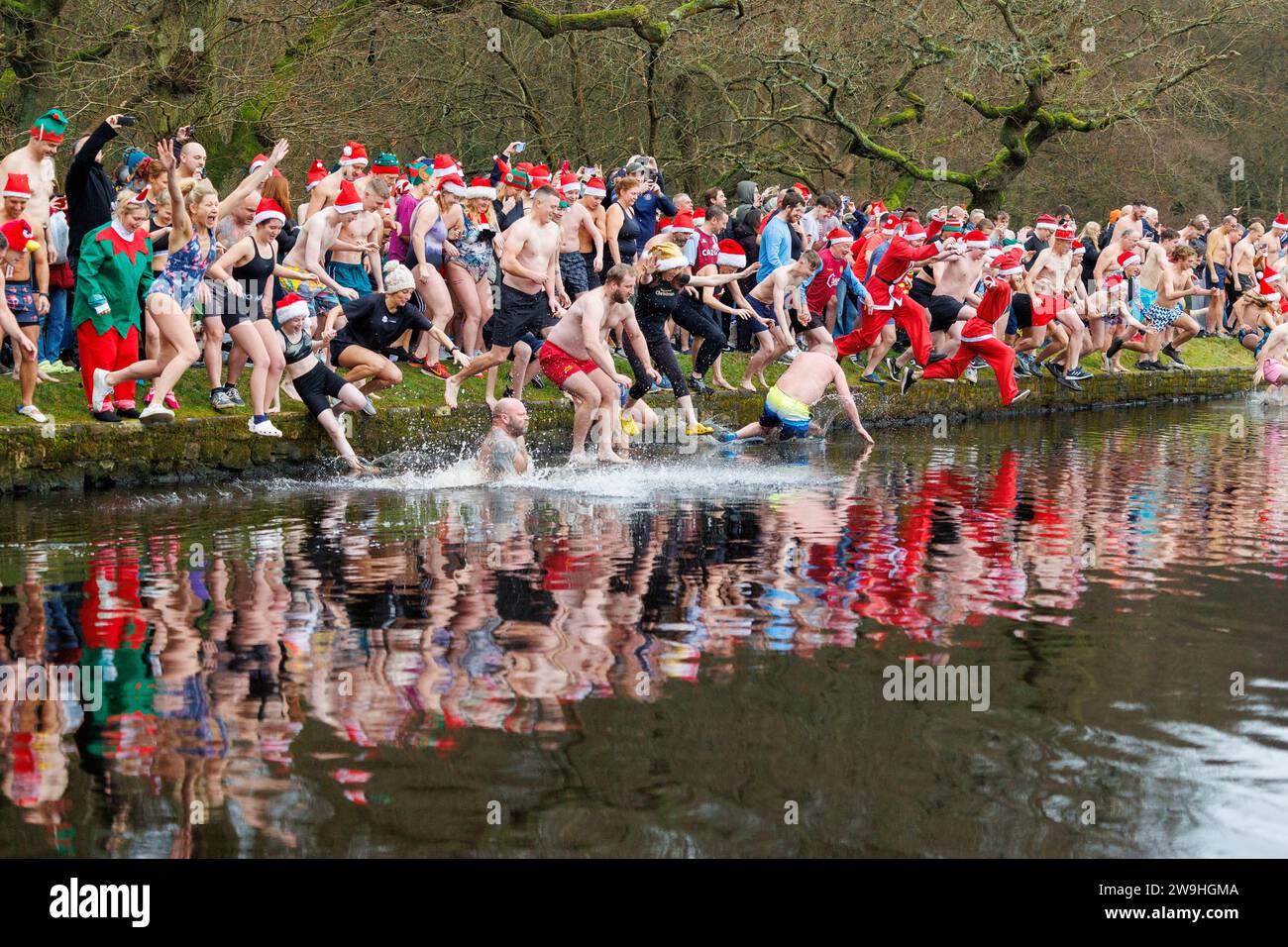 The annual Christmas morning dip into Blackroot Pool in Sutton Coldfield Park. On the stroke of 10am, people dressed in festive costumes, dive, jump, lower themselves into the water. Stock Photo