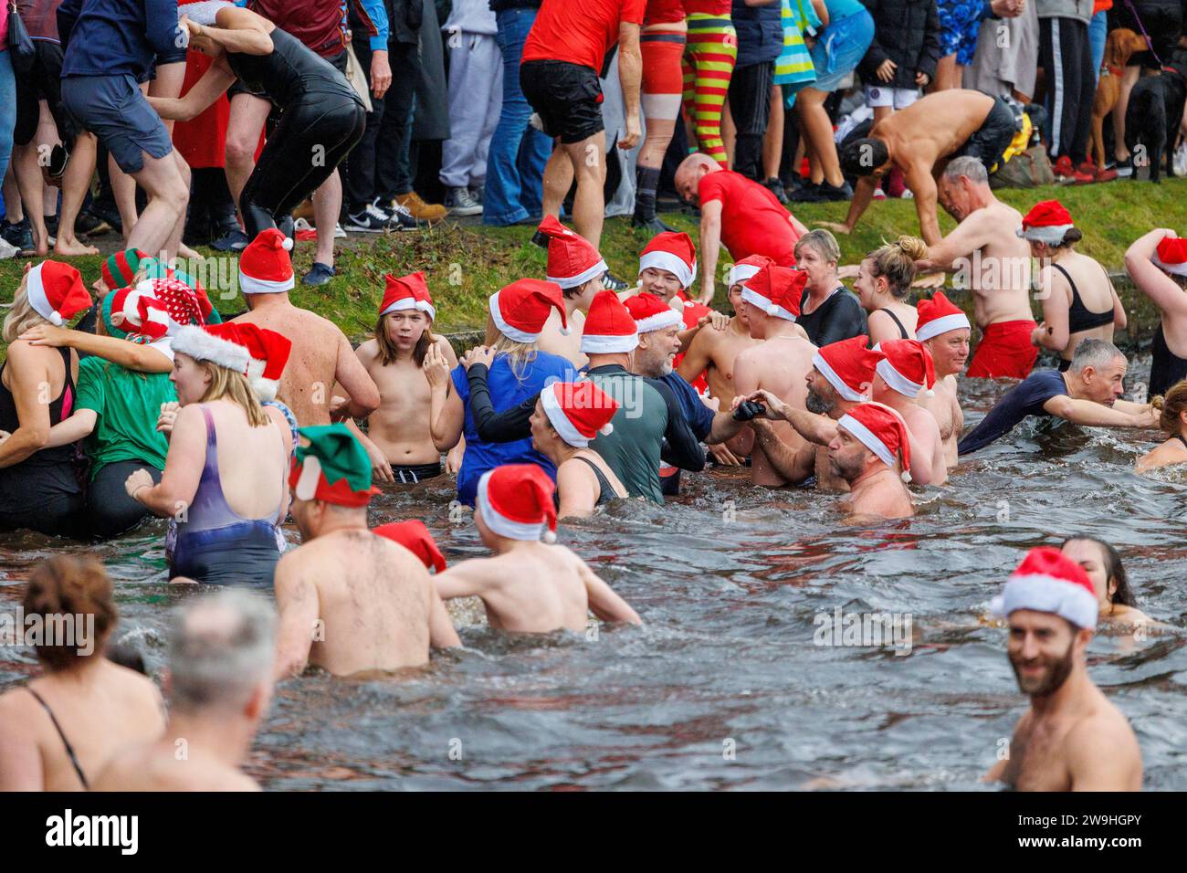 The annual Christmas morning dip into Blackroot Pool in Sutton Coldfield Park. On the stroke of 10am, people dressed in festive costumes, dive, jump, lower themselves into the water. Stock Photo