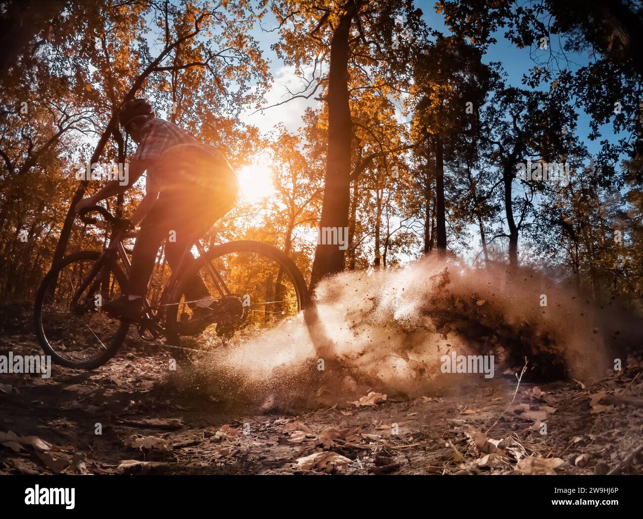 Cyclist in forest rides along the trail, raising up dust from the rear wheel after a skid. Stock Photo