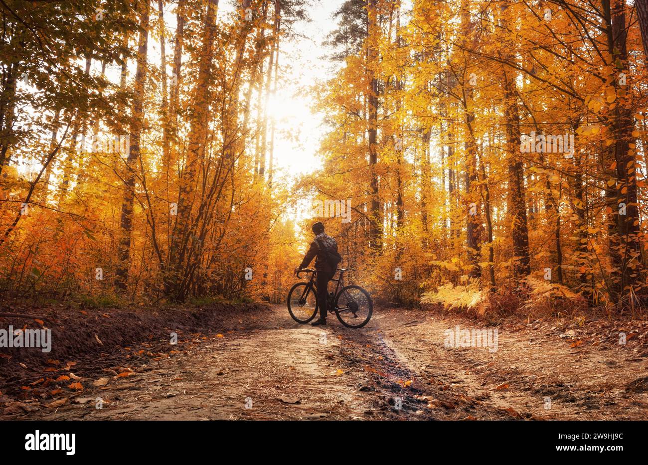 A cyclist stands on a path in a dreamy autumn forest in daylight. Beautiful autumn landscape. Stock Photo