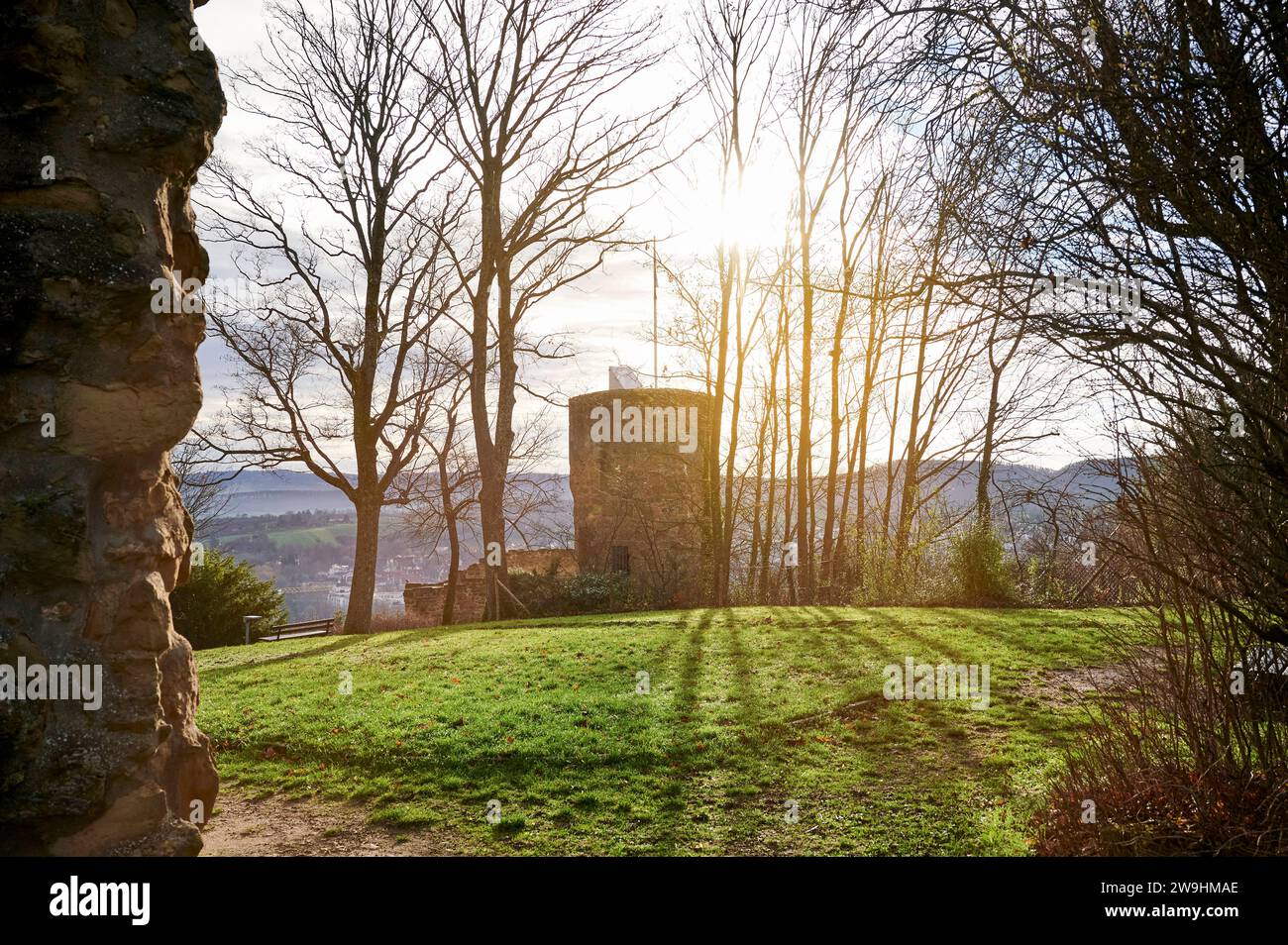 Großer Turm der Burgruine Weibertreu bei Weinsberg im Gegenlicht der ...
