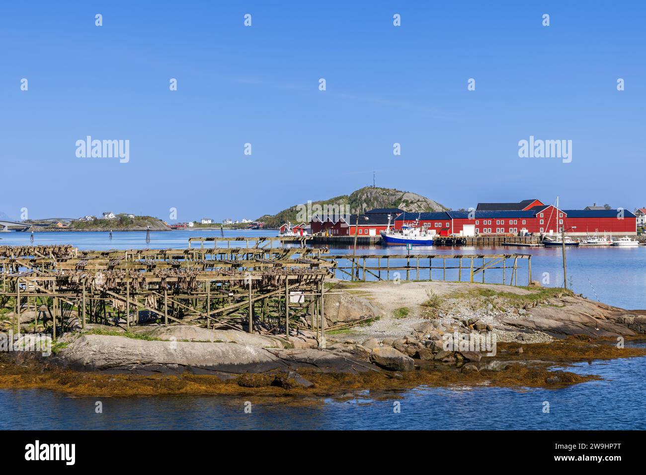 Cod drying racks in the harbor of Reine on Lofoten Island, featuring a ...