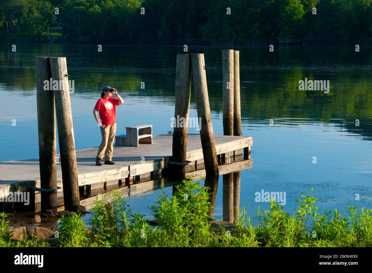 Dock on Connecticut River, Haddam Meadows State Park, Connecticut Stock