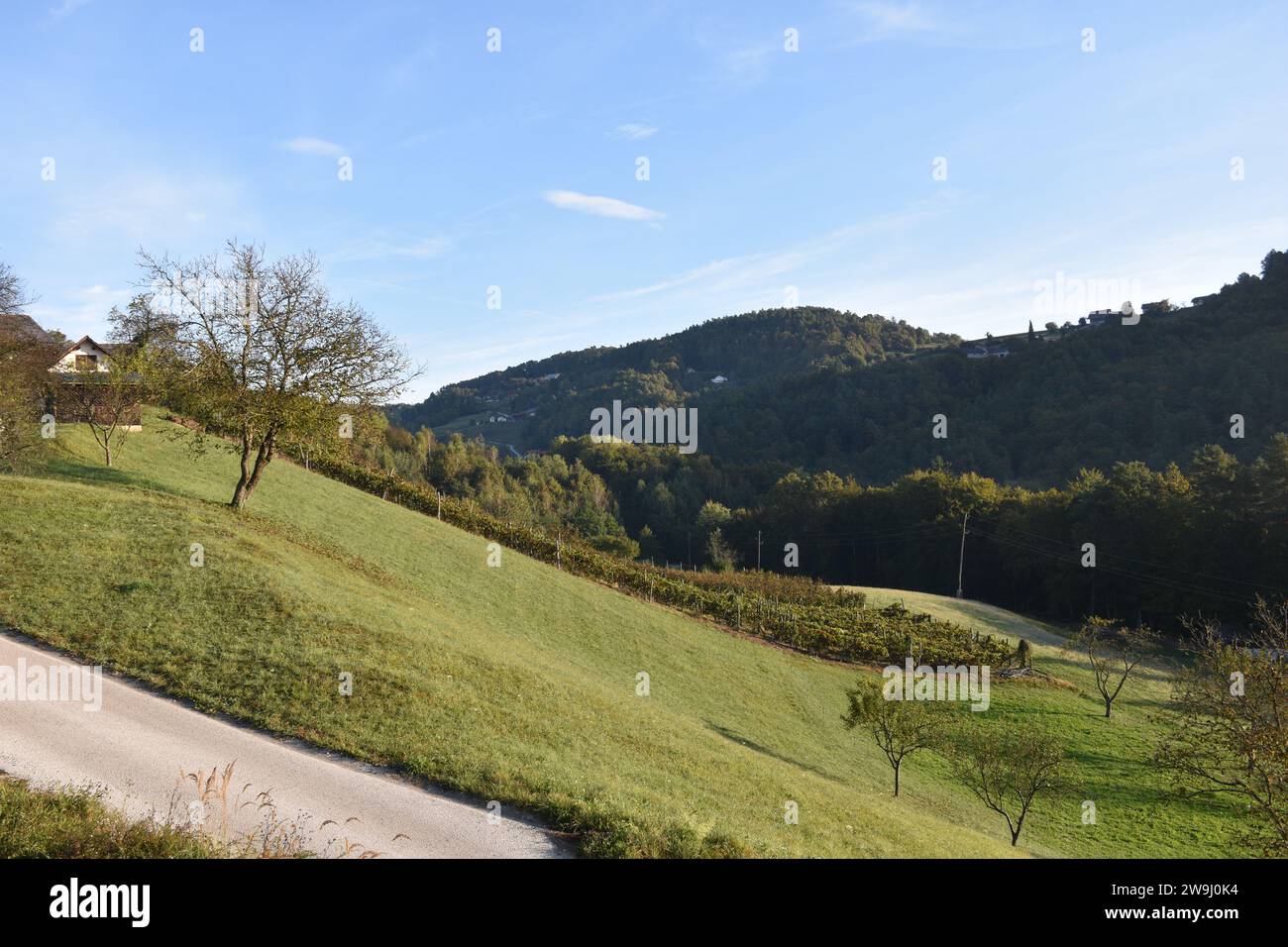 Admiration of nature hi-res stock photography and images - Alamy