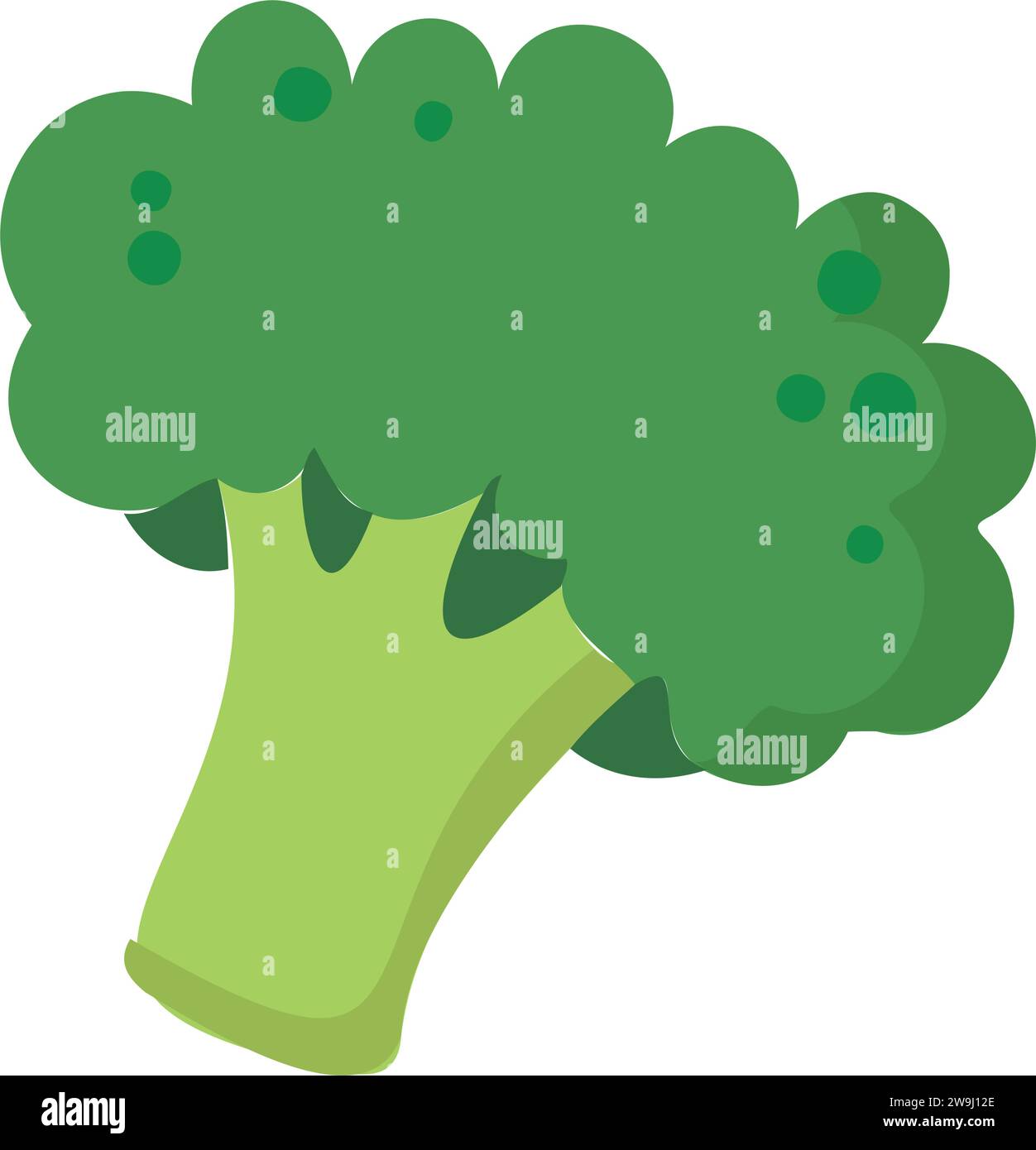 Isolated colored broccoli vegetable icon Vector Stock Vector Image ...