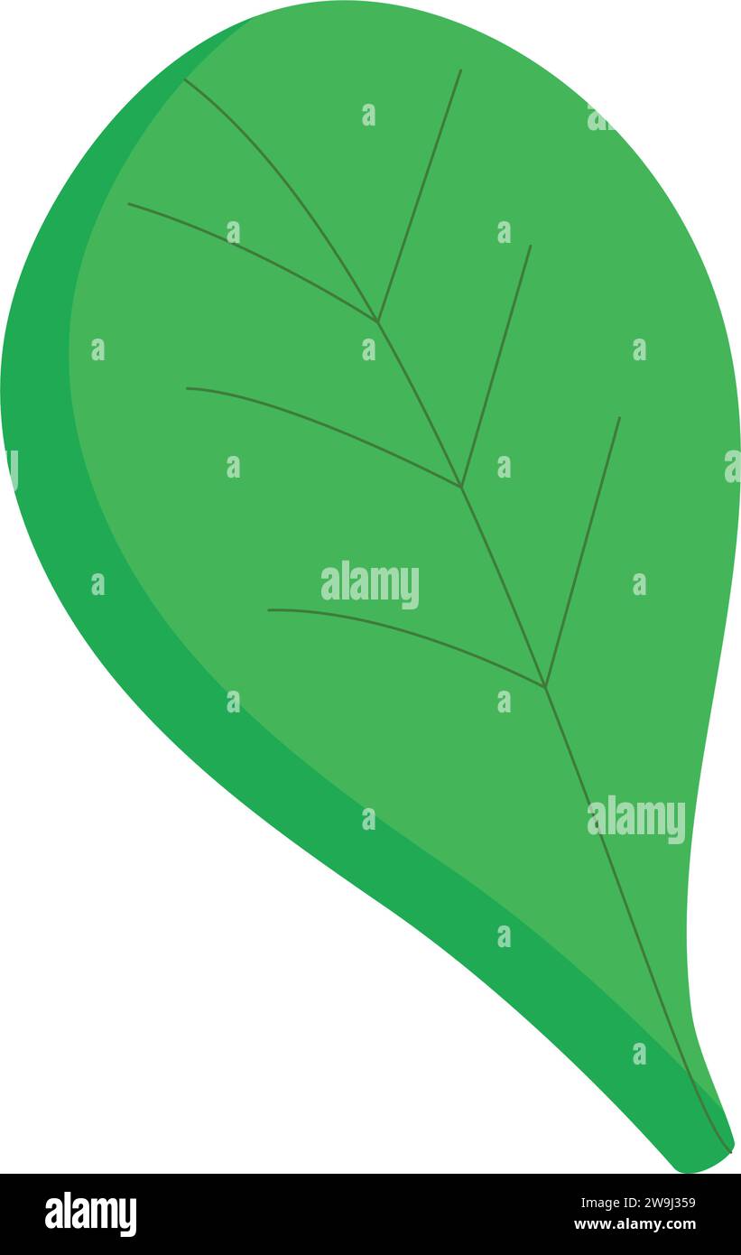 Isolated colored seasonal leaf icon Vector Stock Vector Image & Art - Alamy