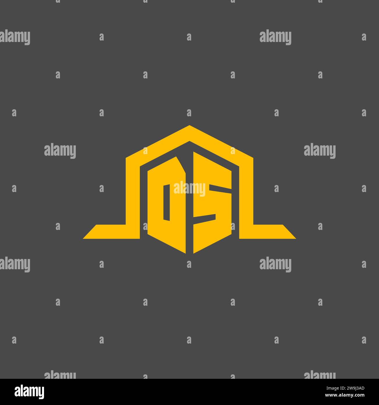 DS monogram initial logo with hexagon style design ideas Stock Vector